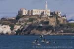 Alcatraz San Francisco Bay California USA