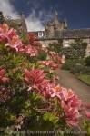 Photo Cawdor Castle Gardens