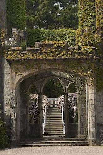 Picture Of Armadale Castle Gardens