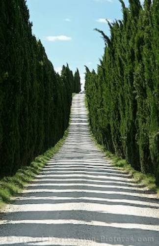 Cypress Parkway Italy