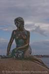 Photo Little Mermaid Statue Copenhagen Tourist Attraction Denmark