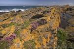 Photo North Coast Fraserburgh Scotland