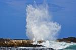 Photo Ocean Waves Pacific Coast New Zealand