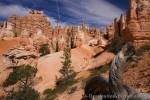 A treasure trove of geological wonders best describes the sights along the Queens Garden Trail in Bryce Canyon National Park in Utah, USA.