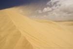 The sand from the great Te Paki Sand Dunes being whipped up by the wind in Northland, New Zealand.