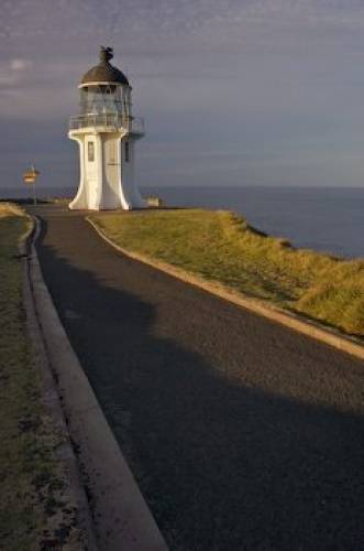 Cape Reinga Lighthouse Picture