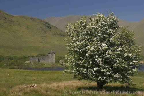 Kilchurn Castle Scotland