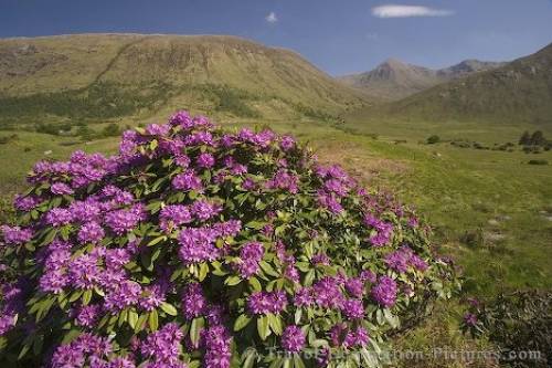 Scenic Glen Etive