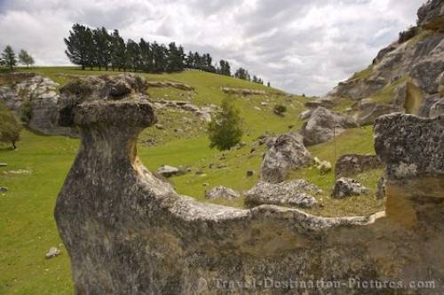 Waitaki Rock Formations NZ