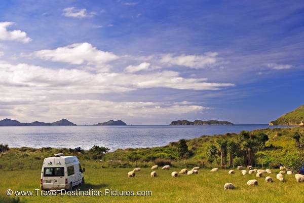 Camping Destination Marlborough New Zealand